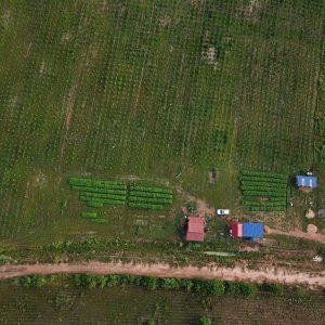Drone View of Land